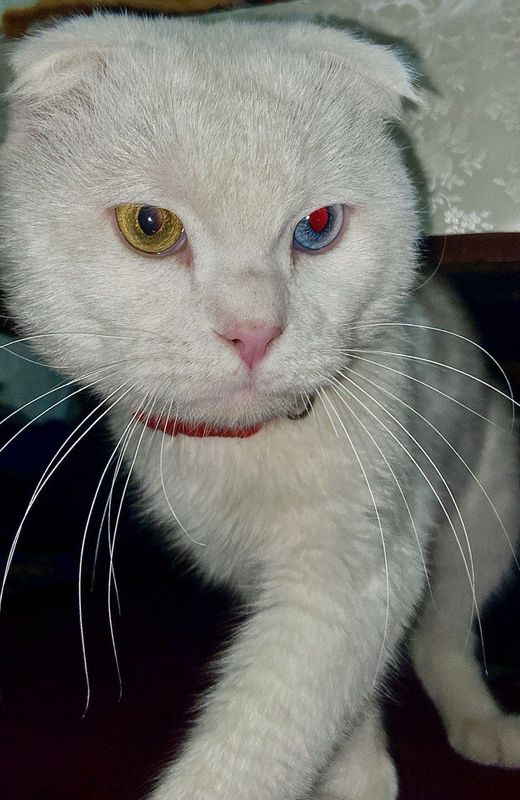 Vyazkaga qiz bola mushu kere Vyazkaga qiz bola mushu kere