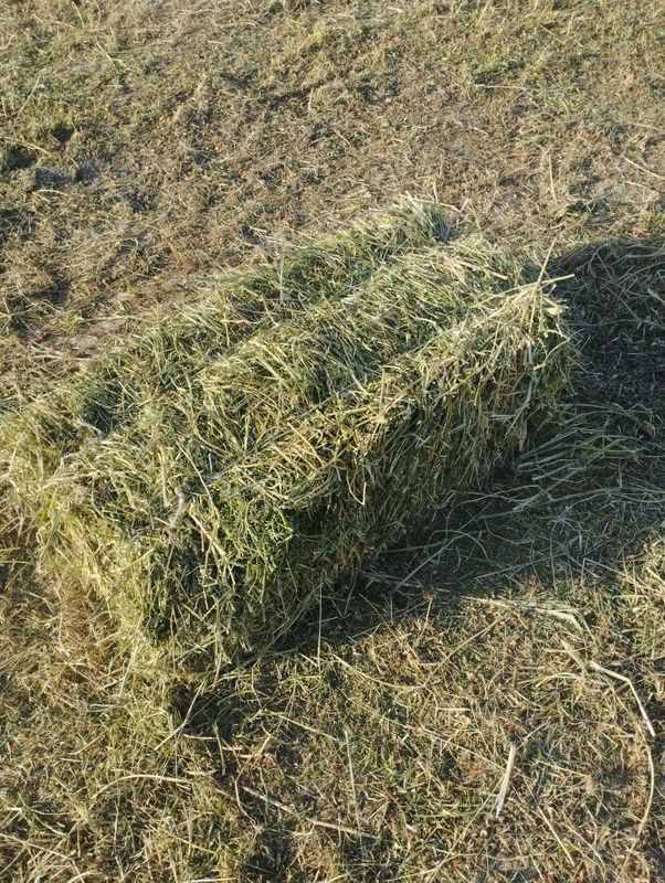 Беда пресс сотилади Беда пресс сотилади