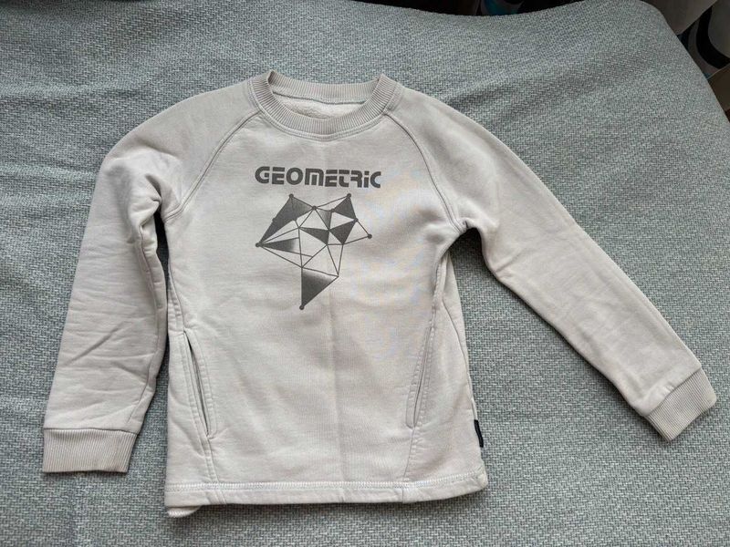 Свитшот с мягким утеплением на 6-8 лет Свитшот с мягким утеплением на 6-8 лет