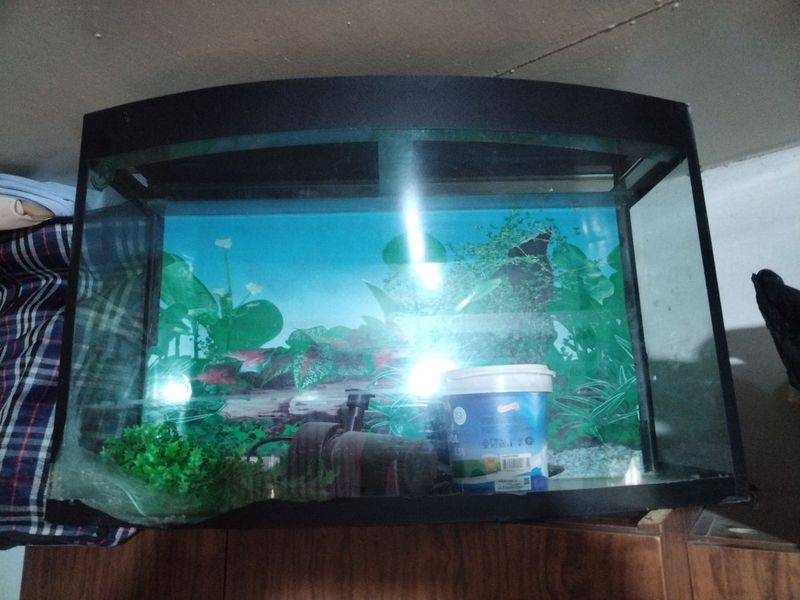 Akvarium sotiladi Akvarium sotiladi
