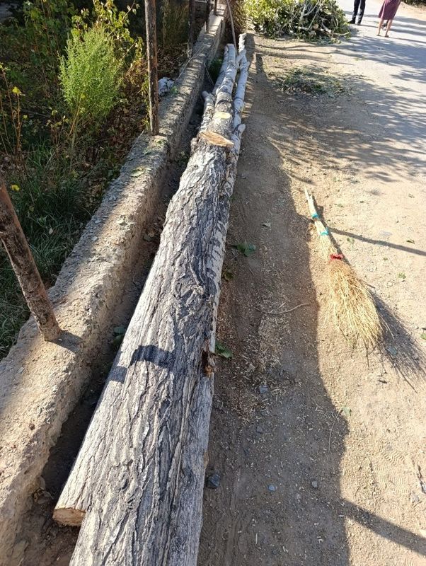 Ak terekler bar Baxasi kelisemiz.