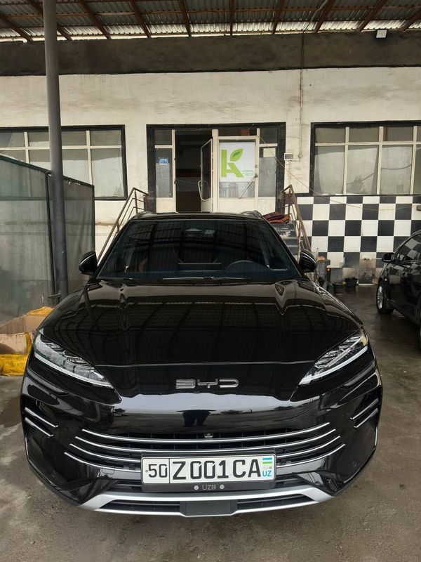 Byd chempion gibrit full pazitsiya 2024