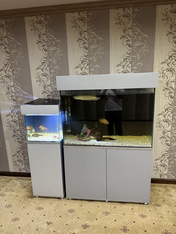 akvarium 200 litr. kickinas 50 litr yengi pachti akvarium 200 litr. kickinas 50 litr yengi pachti