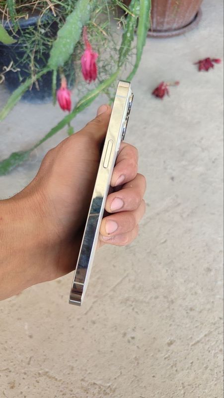 iPhone 13pro iPhone 13pro