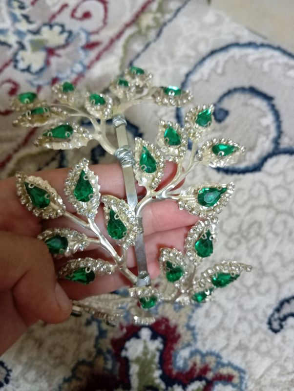diadema diadema