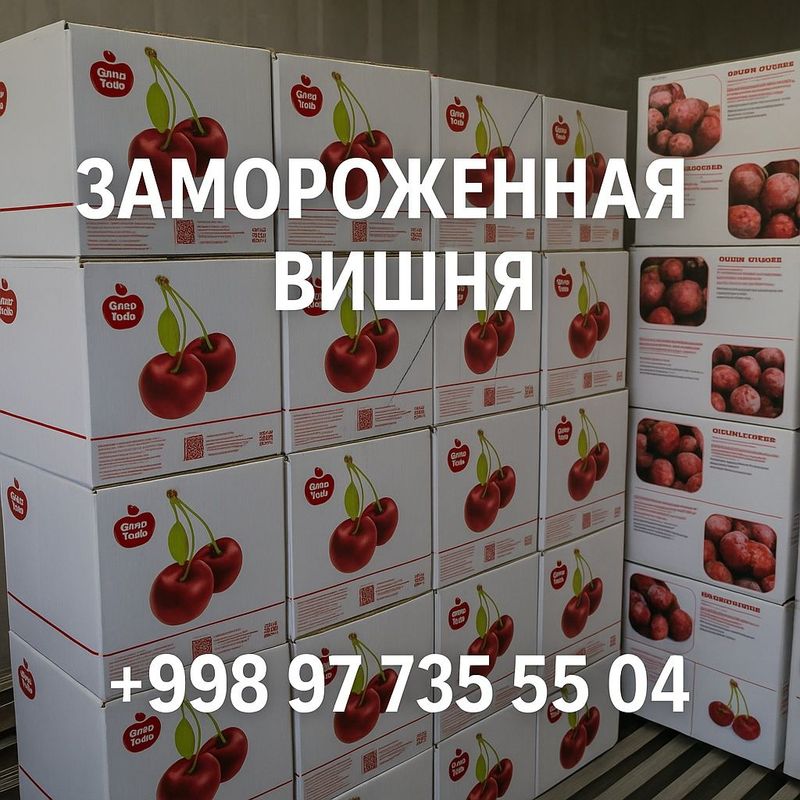 замороженная вишня замороженная вишня