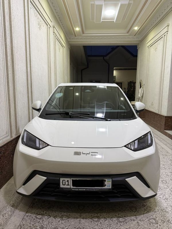BYD seagull full NAXT yoki ARENDA