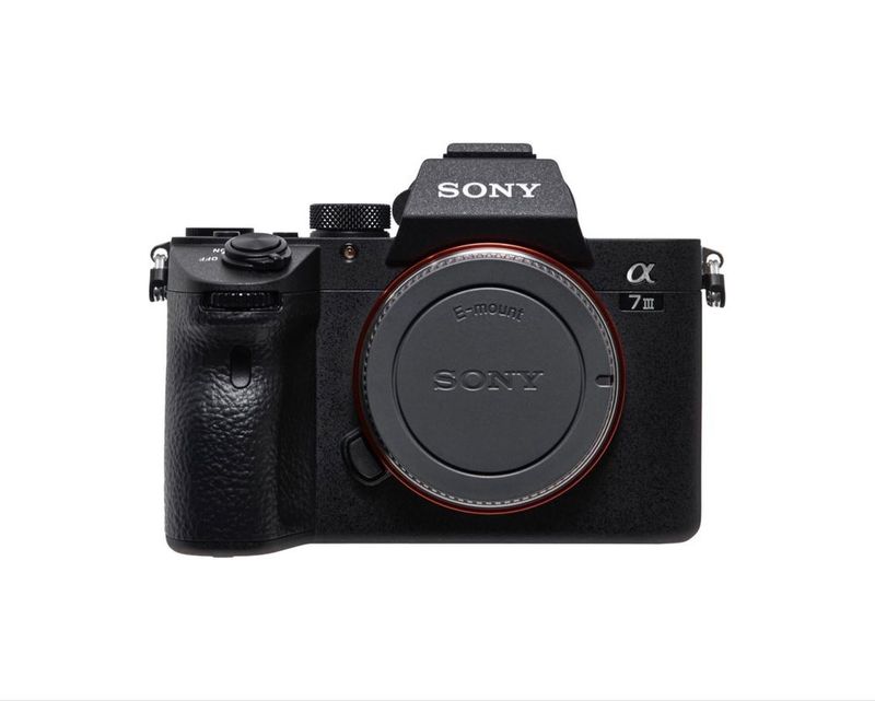 Sony a7 III и Sigma 70-200 Sony a7 III и Sigma 70-200