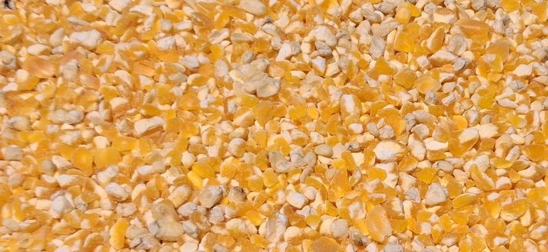 Кукурузная сечка Кукурузная сечка