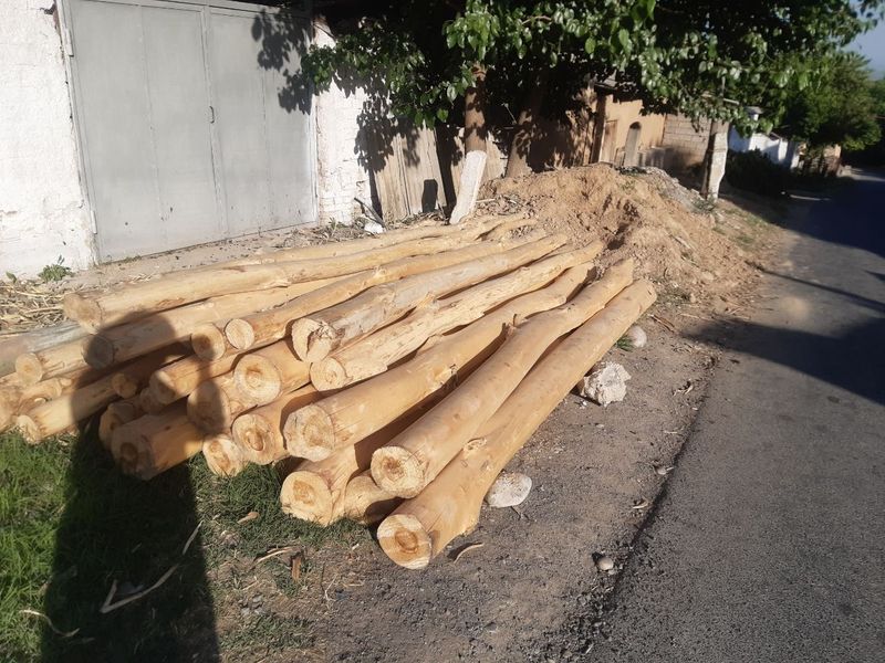 Terak tosinlar bor Terak tosinlar bor