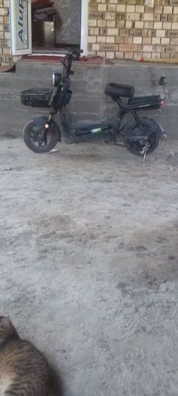 Sukutr sotiladi juda miyahki Sukutr sotiladi juda miyahki