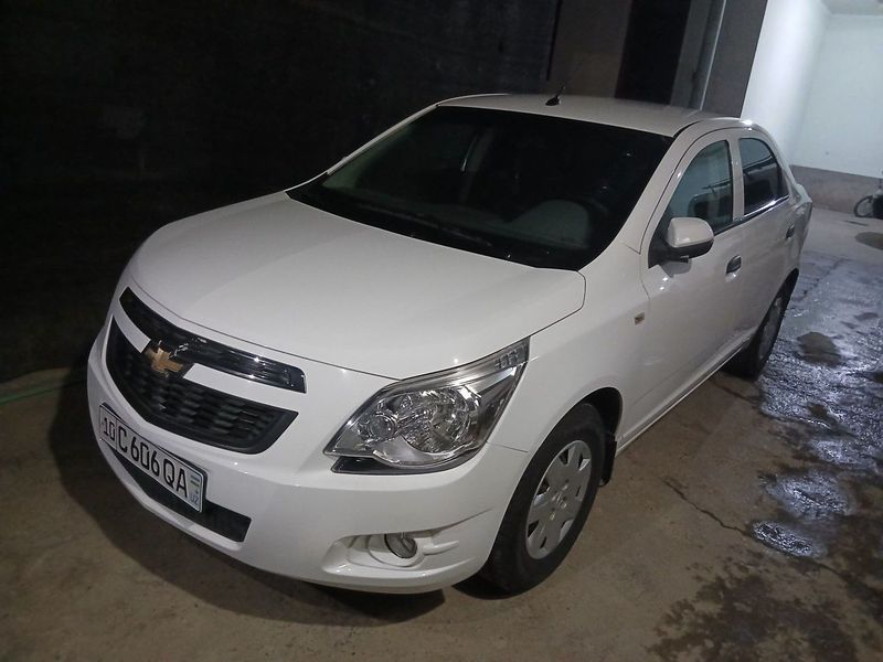 Srochna Cobalt 2018 Srochna Cobalt 2018