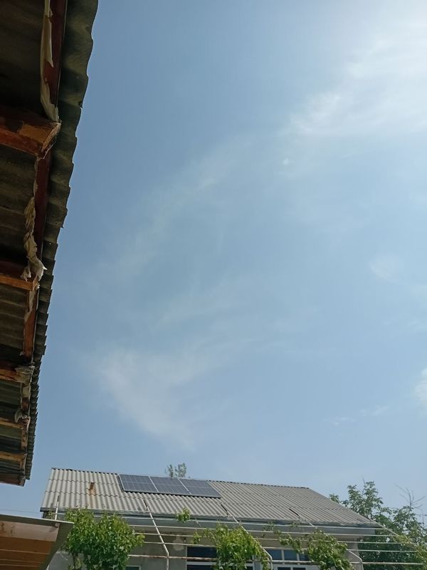 Quyosh paneri judayam zori Quyosh paneri judayam zori