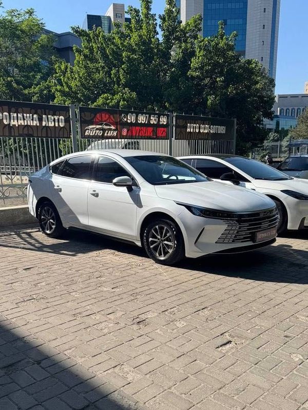 BYD Chazor 2024 yil BYD Chazor 2024 yil