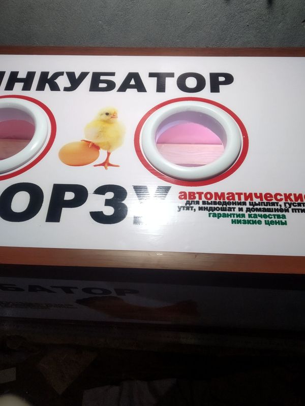 Инкубатор 100% автомат