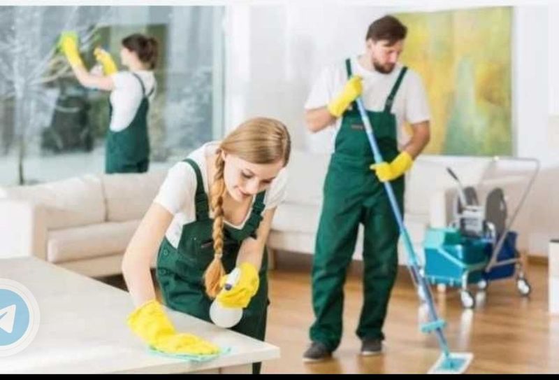 Progress Cleaning-House Progress Cleaning-House