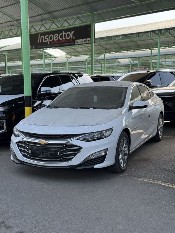 Malibu premier 2022 masla