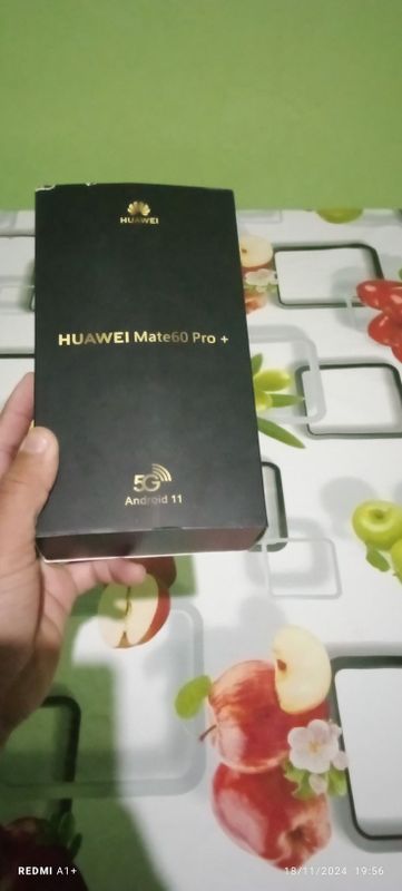 HUAWEI Mate 60 Pro Pro + 5G