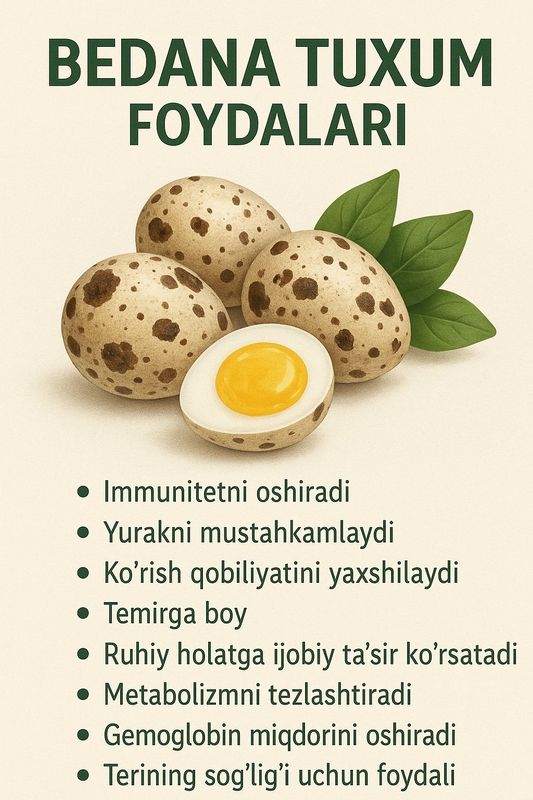 Bedana Tuxum | Перепелиное Яйцо Bedana Tuxum | Перепелиное Яйцо