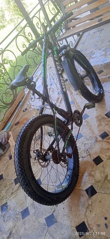 Velodiped Sotiladi sportivni
