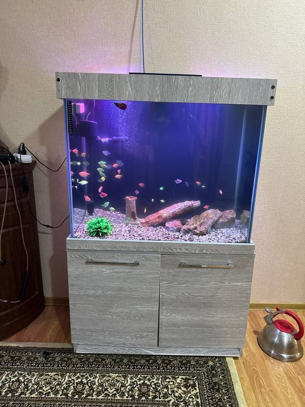 Akvarium sotiladi 250 litr