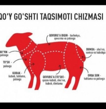 Qassob hizmati qoy soʻyish Qassob hizmati qoy soʻyish