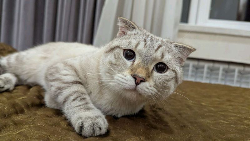 Vsyaska uchun Vsyaska uchun