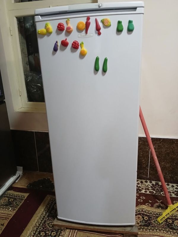Холодильник Бирюса Холодильник Бирюса