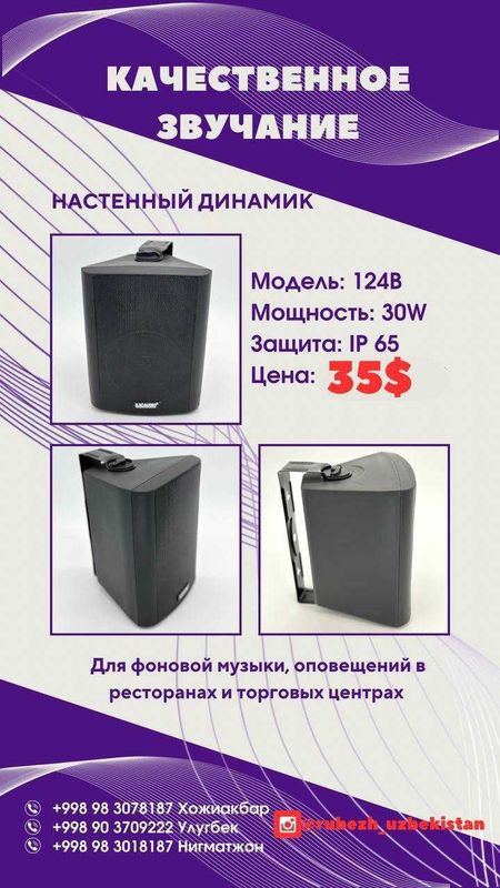звучание для ресторанного бизнеса и торговых центров (черный)