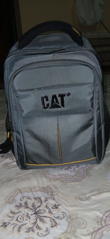papka Cat