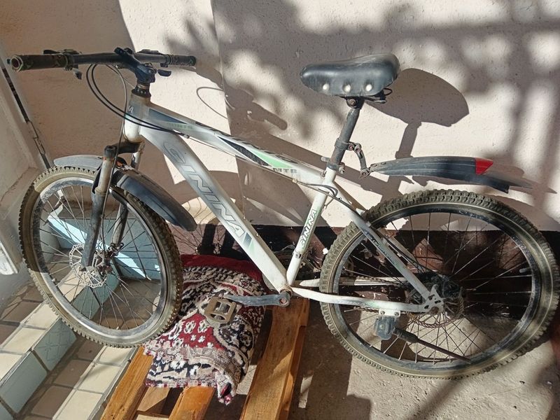Velosiped 24 talik