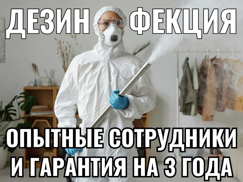 Уничтожение клопов дезинфекция клапа от тараканов мух комаров насекомы Уничтожение клопов дезинфекция клапа от тараканов мух комаров насекомы