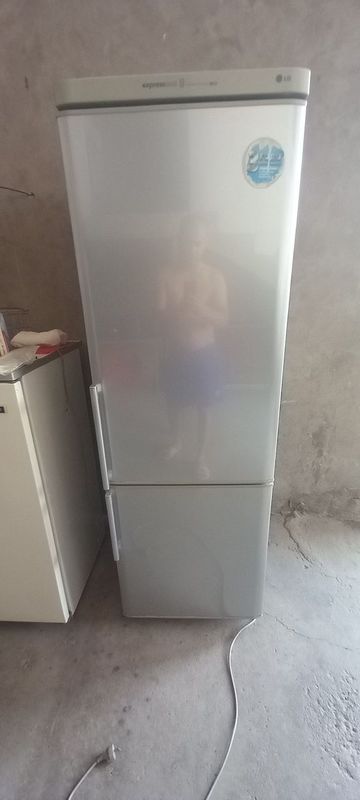 Xaladilnik sotipadi Xaladilnik sotipadi