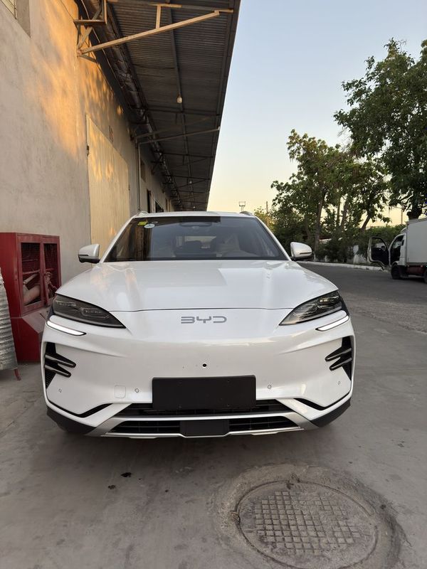 BYD Chempion BYD Chempion