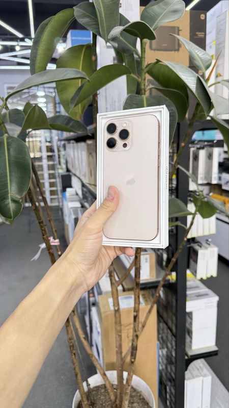 iPhone 16 Pro Max 256Gb 100%