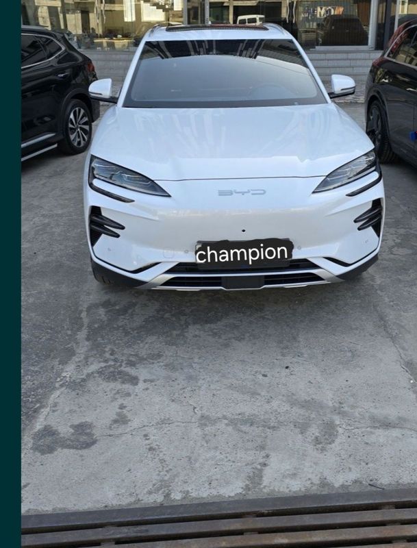 BYD Champion 2023 BYD Champion 2023