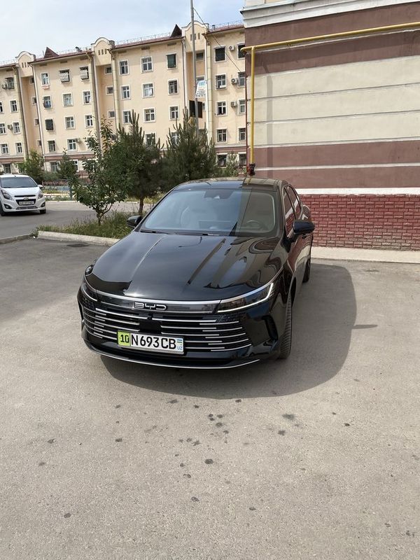 BYD Chazor full 120 pozotsiya BYD Chazor full 120 pozotsiya