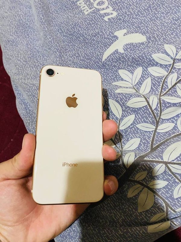 iphone 8 garantiya 2 oy