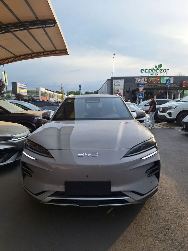 BYD champion smart