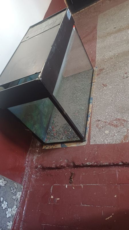 не дорого продам большой аквариум для рыб не дорого продам большой аквариум для рыб