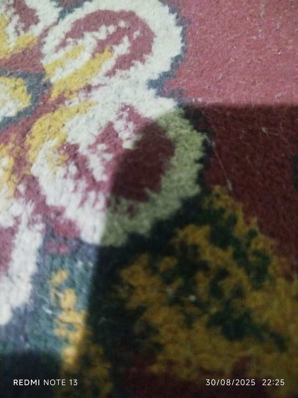 gilam gilam