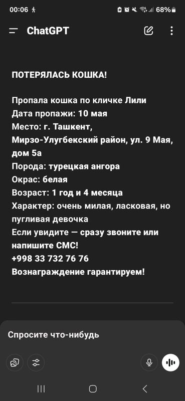 Пропала кошка Пропала кошка