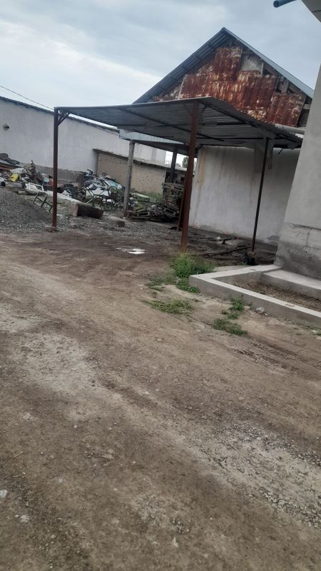 Zo‘ntik o'rniga ishlatsa bo‘ladi Zo‘ntik o'rniga ishlatsa bo‘ladi