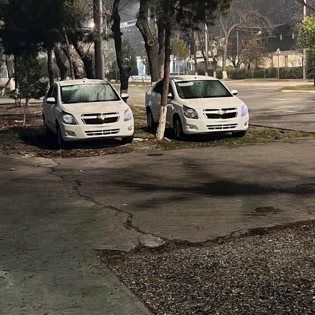 Cobalt 2025 Style Full pazitsa masla
