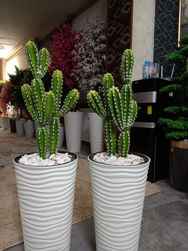 Suniy gullar. Suniy daraxtlar. Искусственные цветы и растения, деревья Suniy gullar. Suniy daraxtlar. Искусственные цветы и растения, деревья