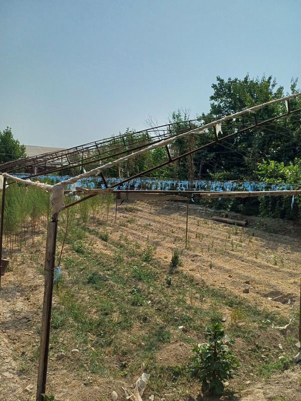 Teplitsa sotiladigan 6 sotib arzonga Teplitsa sotiladigan 6 sotib arzonga