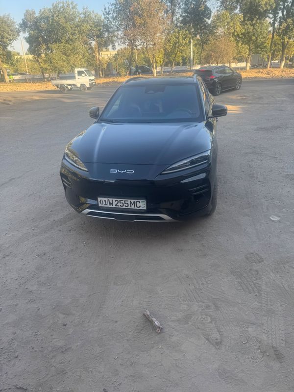 Byd EV song plyus chempion