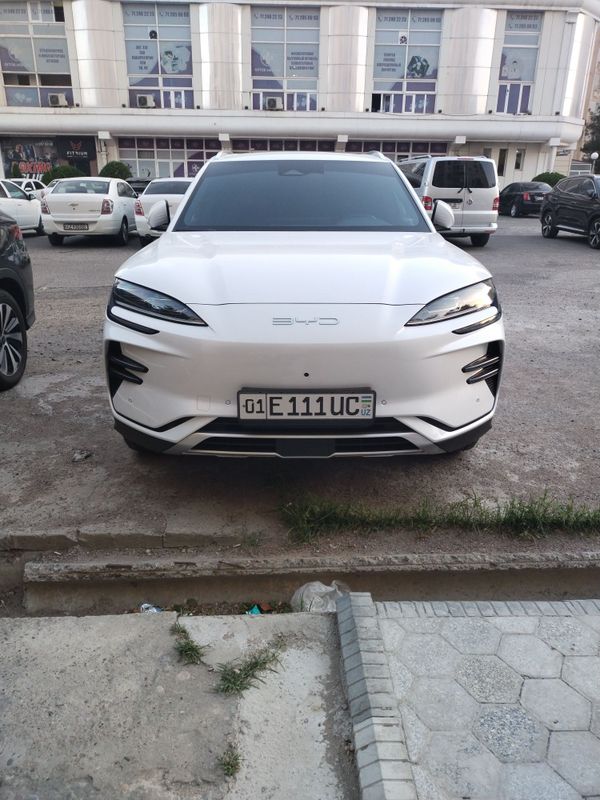 Byd song plus champion 2024 Byd song plus champion 2024