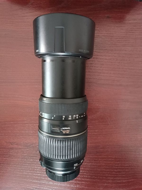 Объектив фото. 100-300