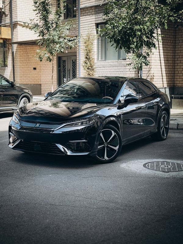 Byd Song L 2024 Byd Han Byd Chazor Byd Champion Byd Song L 2024 Byd Han Byd Chazor Byd Champion